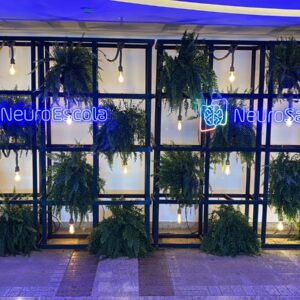 Estante com SAMAMBÁIAS e FOCOS